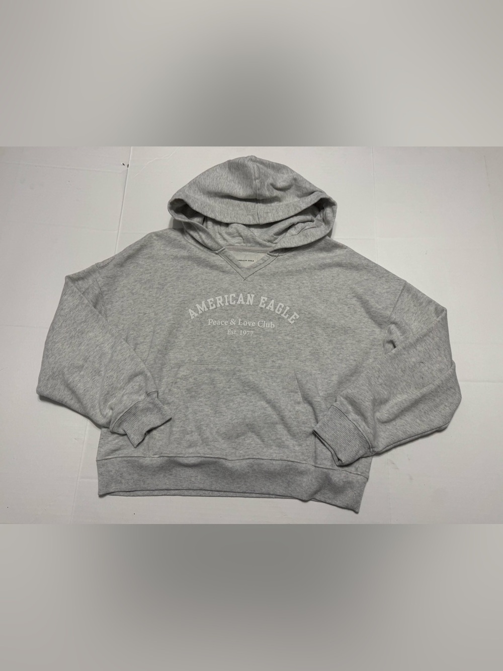 American Eagle Peace & Love Club Est. 1977 Gray Pullover Hoodie Womens Large